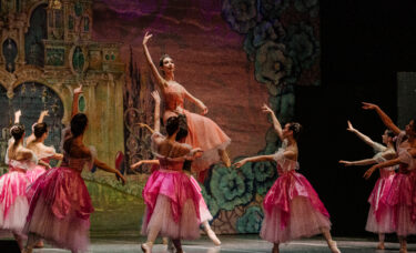 zdjęcie z baletu "Dziadek do Orzechów" Ukrainian Classical Ballet